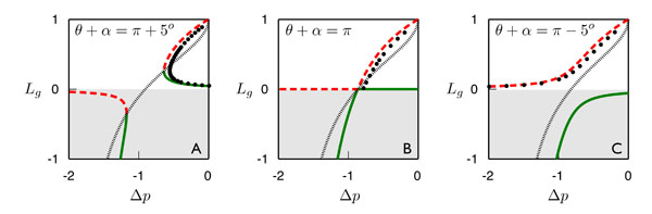 DVB transcritical bifurcation
